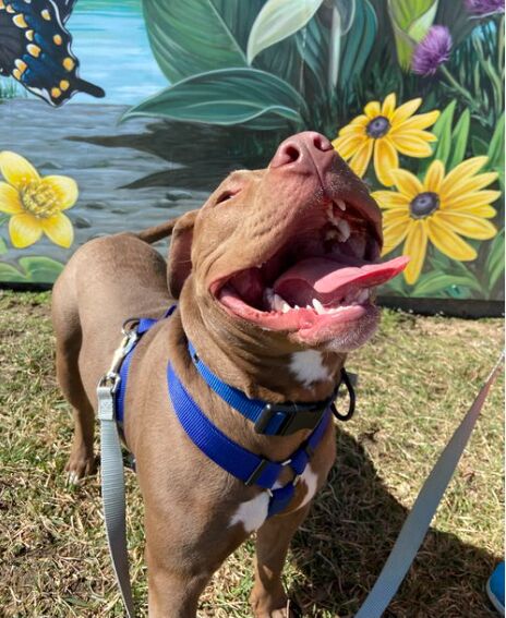 Cooling down after a run